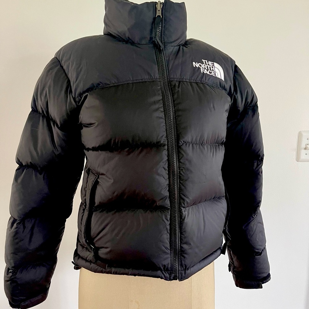 The north face 1996 retro nuptse puffer jacket
